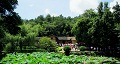 長沙出發(fā)到花明樓、韶山、張家界國家森林公園、天門仙山國家森林公園四日游